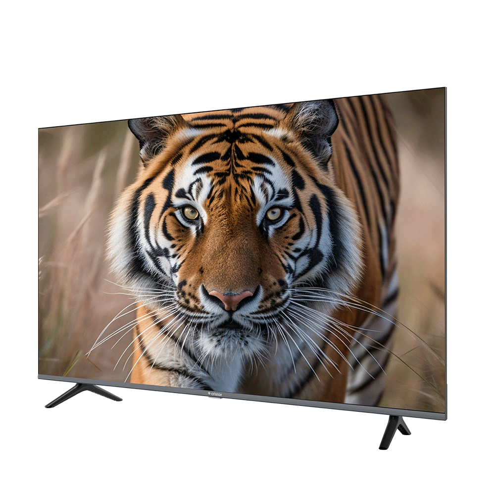 P55W6-1000x1000-1-Copie